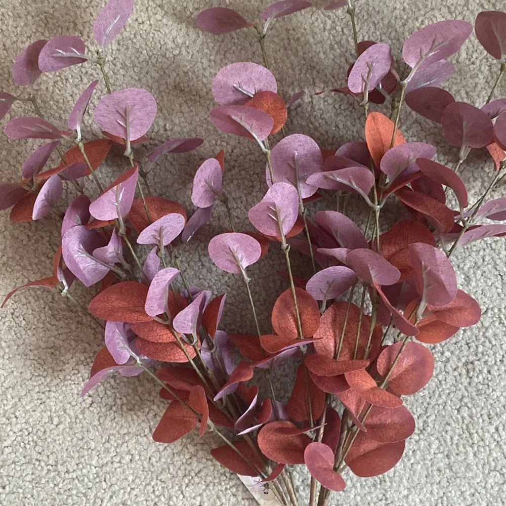 Ragoon House Rust/Burgundy Eucalyptus